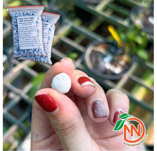 Phân Tan Chậm Nhật 10-10-10-1 | Chuyên Dùng Cho Hoa Cảnh