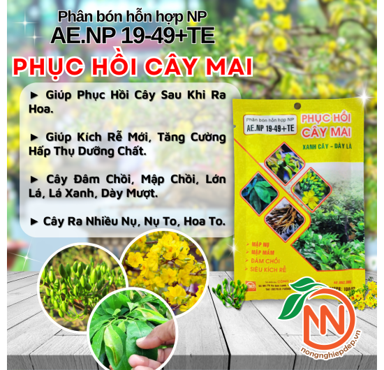 Phân Bón Phục Hồi Cây Mai - AE.NP 19-49+TE