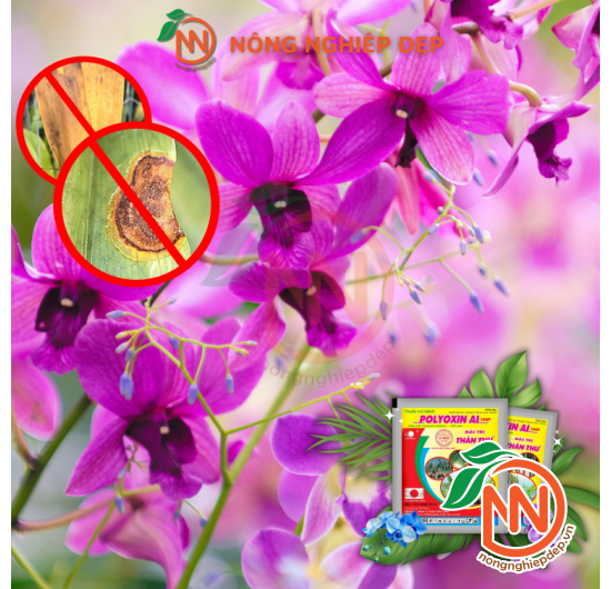 ​​​​​​​POLYOXIN AL 10WP – Thuốc Đặc Trị Thán Thư