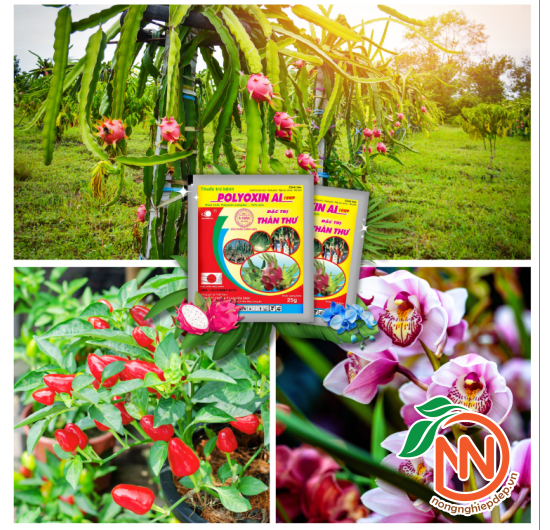 ​​​​​​​POLYOXIN AL 10WP – Thuốc Đặc Trị Thán Thư