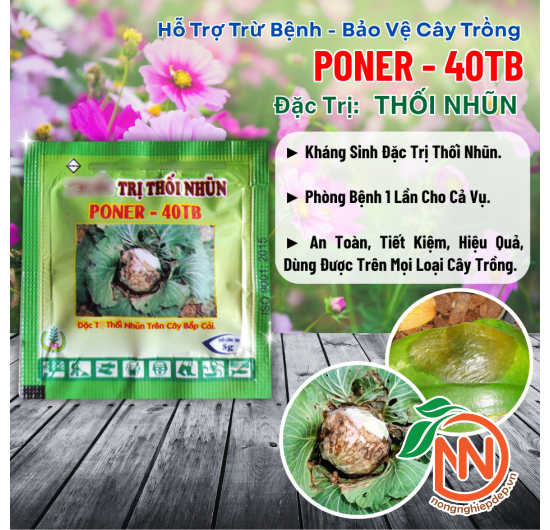 Poner - 40TB - Thuốc Trị Thối Nhũn