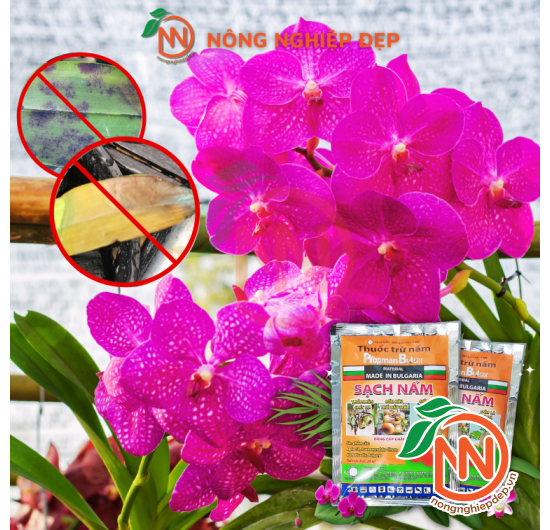 Thuốc Trừ Nấm Propman Bul 550sc - Sạch Nấm