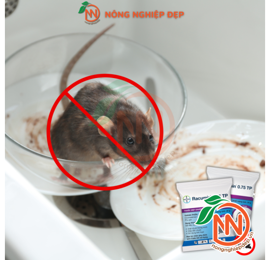 Thuốc Diệt Chuột Racumin 0.75TP