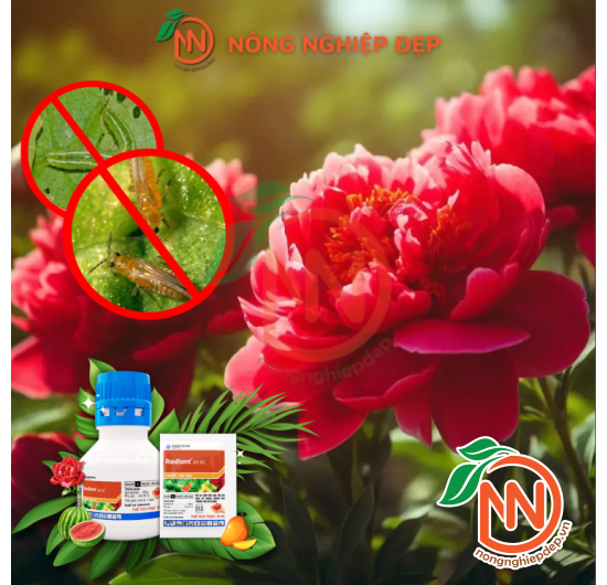 Thuốc Diệt Bọ Trĩ Radiant 60SC