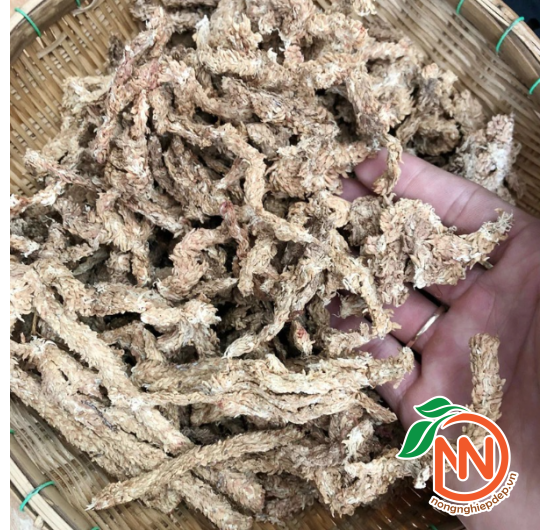 Rêu Con Sâu - Rêu Chile - Giá Thể Trồng Cây