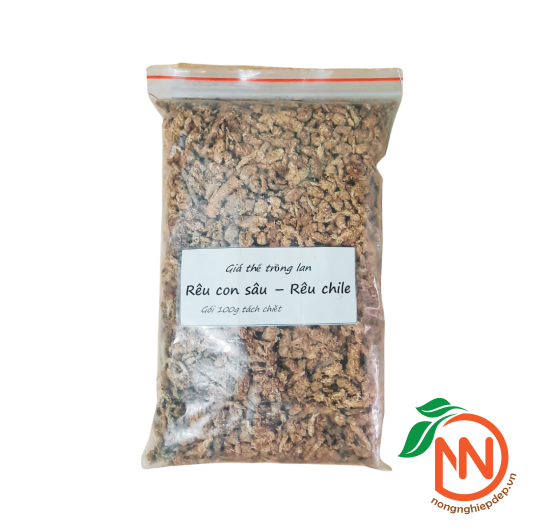 Rêu Con Sâu - Rêu Chile - Giá Thể Trồng Cây