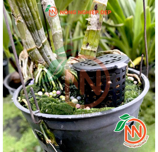 Rọ Đựng Phân Tan Chậm