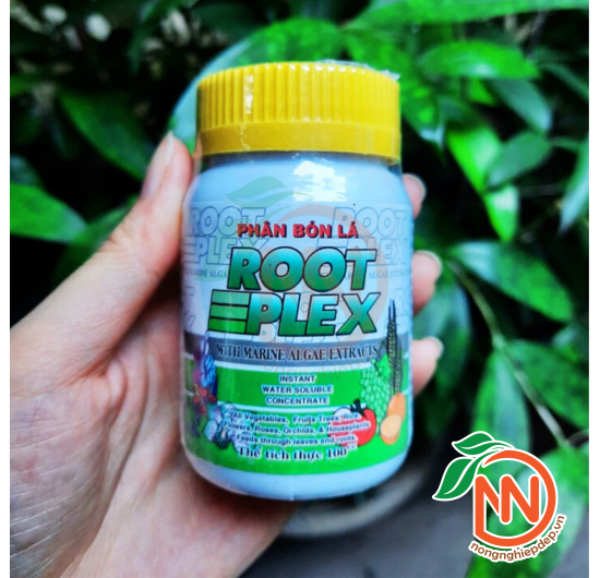 ROOT PLEX – Phân Bón Lá Hữu Cơ Rong Biển 