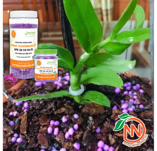 Phân Tan Chậm RYNAN 210 – NPK 22-10-10 +TE - FLOWERMATE 