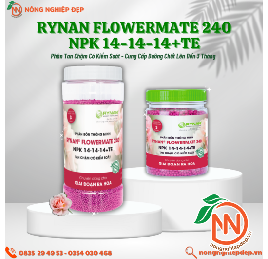 Phân Tan Chậm RYNAN 240 – NPK 14-14-14+TE - FLOWERMATE 