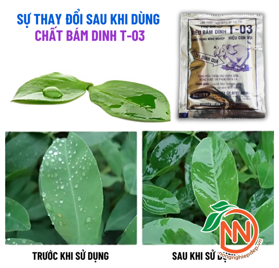 Phụ Gia Siêu Bám Dính T-03 Hiệu Con Voi