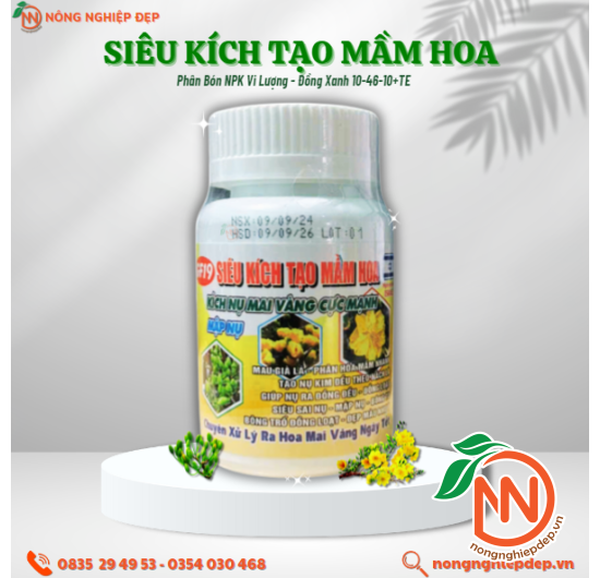Siêu Kích Tạo Mầm Hoa - Kích Nụ Mai Vàng Cực Mạnh