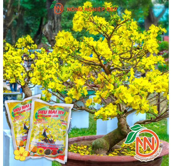 Siêu Mai NV  Bi Organic Agri - Phân Bón Hữu Cơ