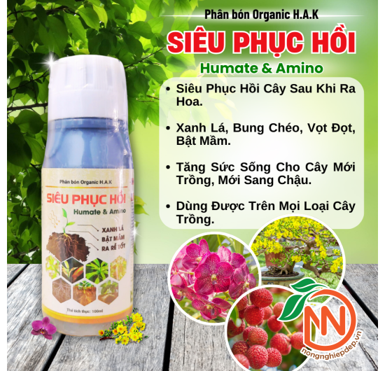 Phân Bón Siêu Phục Hồi Humate & Amino