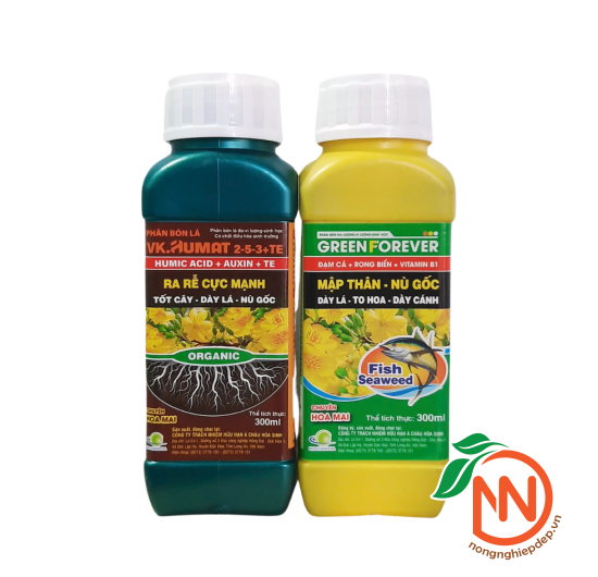 Cặp VK.Humat 2-5-3+Te & Green  Forever  | Chuyên dùng cho Hoa Mai 