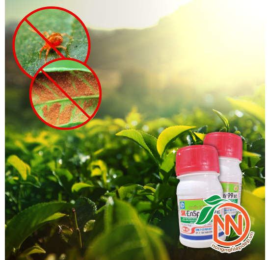 Dầu Khoáng SK EnSpray 99EC Đặc Trị Nhện Đỏ