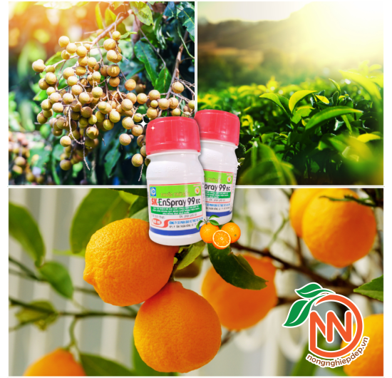 Dầu Khoáng SK EnSpray 99EC Đặc Trị Nhện Đỏ