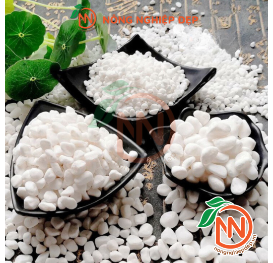 Sỏi Trắng Trang Trí - Nhiều Size Kích Thước