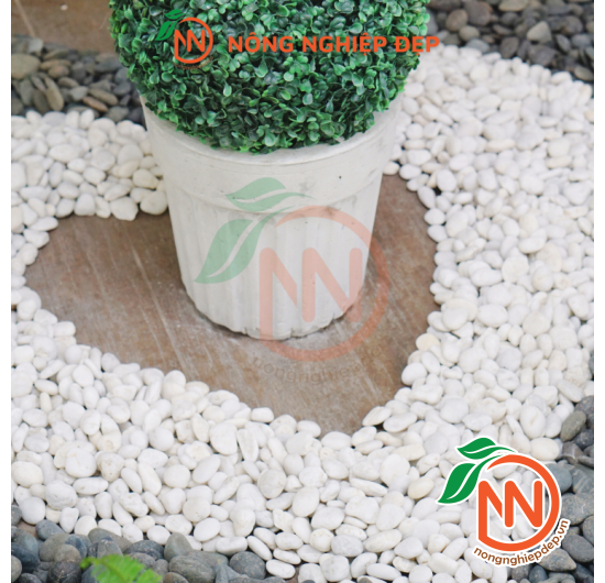 Sỏi Trắng Trang Trí - Nhiều Size Kích Thước