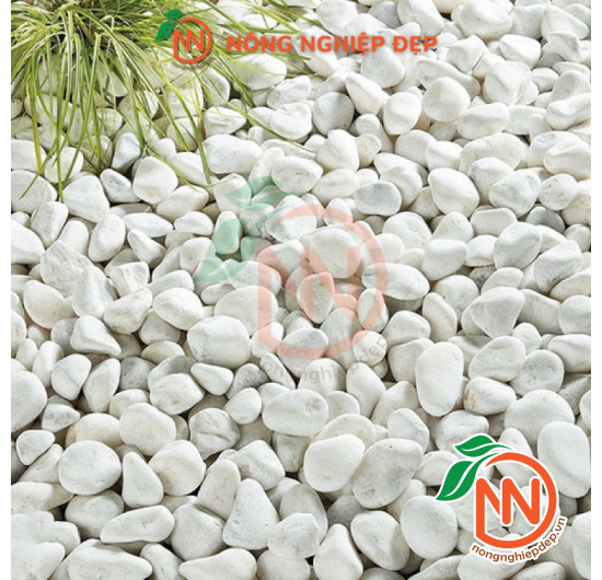 Sỏi Trắng Trang Trí - Nhiều Size Kích Thước
