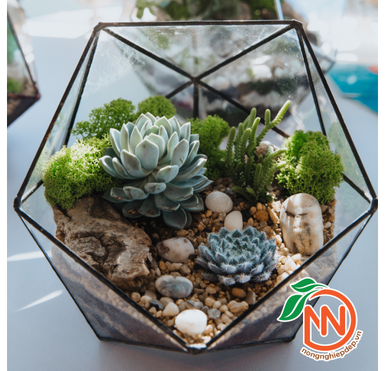 Sỏi Đá Nhiều Màu Tự Nhiên, Trang Trí Bể Cá, Chậu Cây