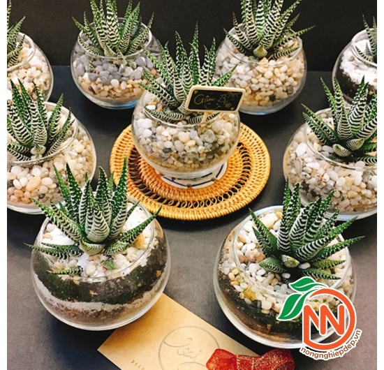 Sỏi Đá Nhiều Màu Tự Nhiên, Trang Trí Bể Cá, Chậu Cây