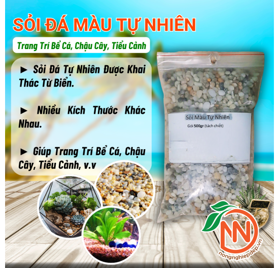 Sỏi Đá Nhiều Màu Tự Nhiên, Trang Trí Bể Cá, Chậu Cây