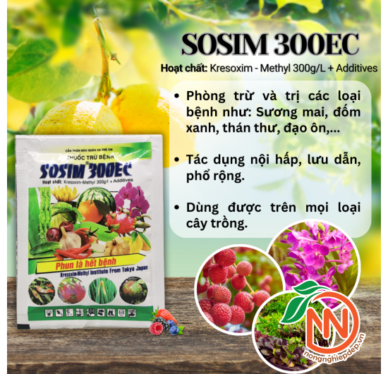  SOSIM 300EC Thuốc Trừ Bệnh