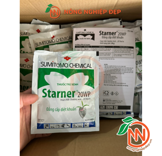STARNER 20WP Thuốc Trị Thối Nhũn Nhật Bản
