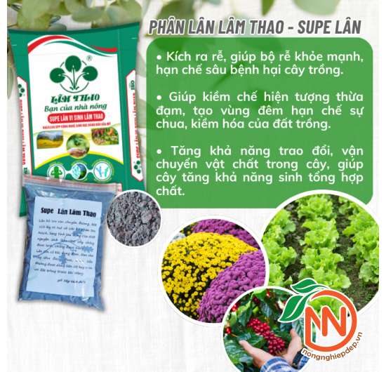 Phân Lân Lâm Thao - Supe Lân Lâm Thao