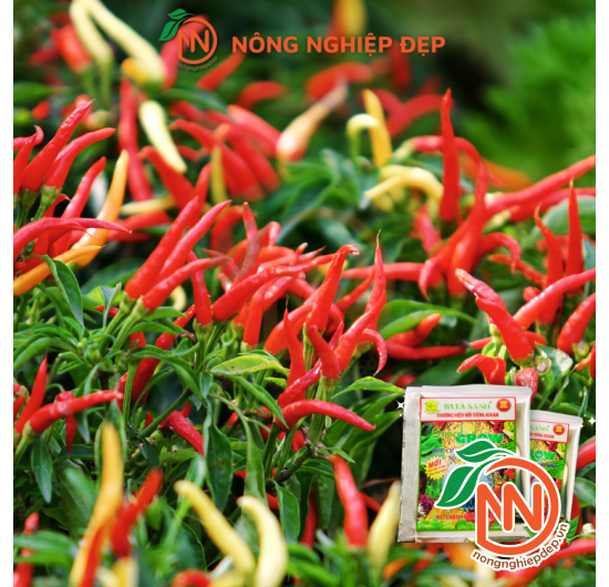 Phân Bón Ba Lá Xanh Super Grow Số 1