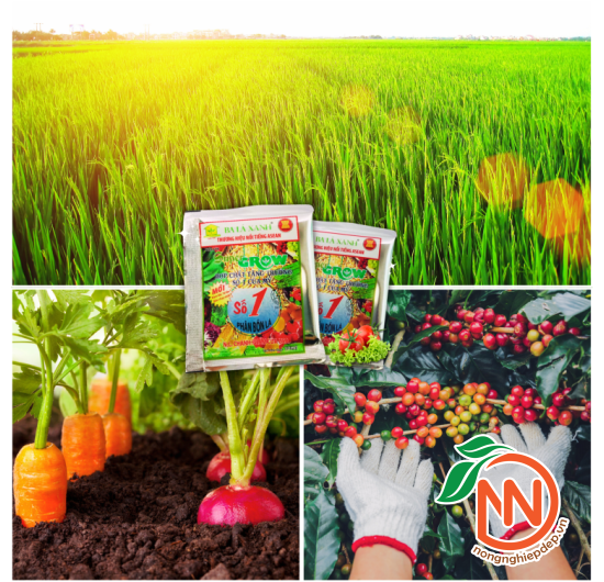 Phân Bón Ba Lá Xanh Super Grow Số 1