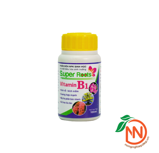 SUPER ROOTS B1 – Kích Rễ, Kích Mầm
