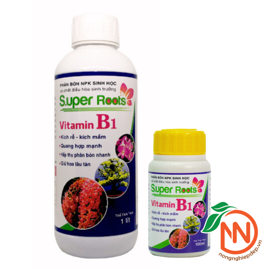 SUPER ROOTS B1 – Kích Rễ, Kích Mầm