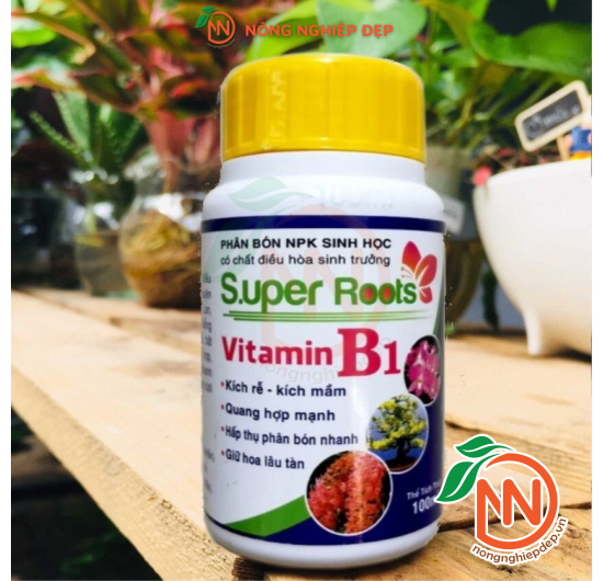 SUPER ROOTS B1 – Kích Rễ, Kích Mầm