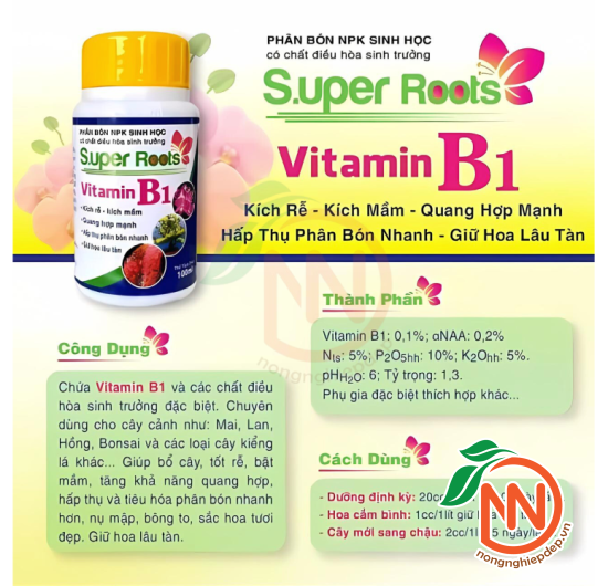 SUPER ROOTS B1 – Kích Rễ, Kích Mầm