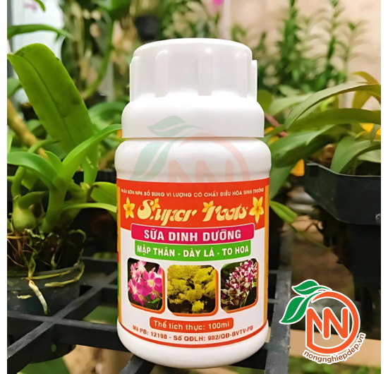 Sữa Dinh Dưỡng Super Roots