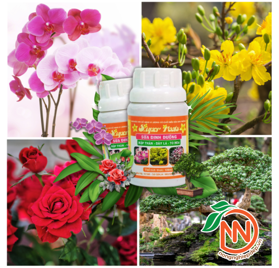 Sữa Dinh Dưỡng Super Roots