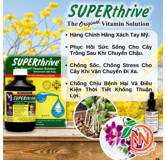 SuperThrive 1940 - Siêu Dưỡng Chất Kích Rễ