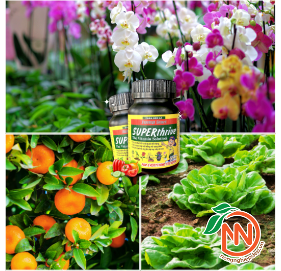 Superthrive Grow More 