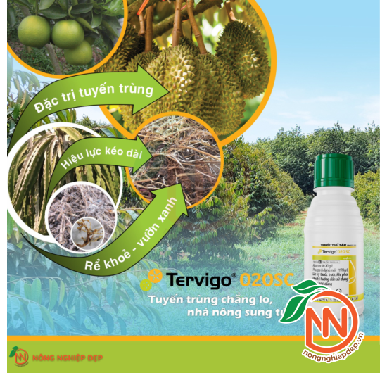 Thuốc Đặc Trị Tuyến Trùng Tervigo 020SC