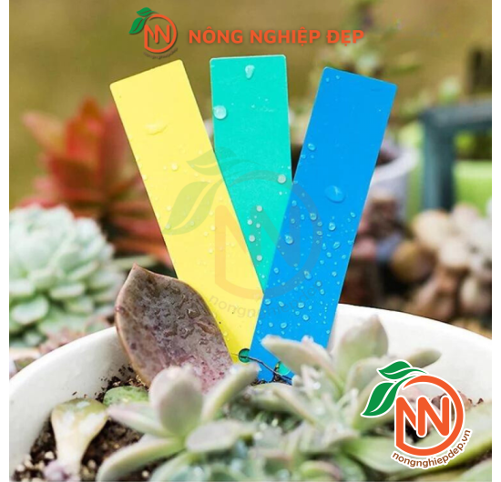 Thẻ Ghi Tên Cây Trồng - Bằng Nhựa Nhiều Màu Sắc