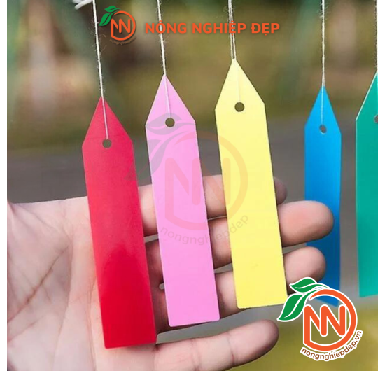 Thẻ Ghi Tên Cây Trồng - Bằng Nhựa Nhiều Màu Sắc