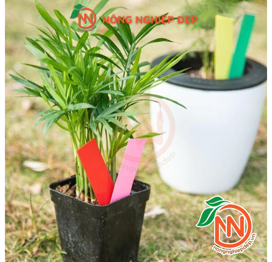 Thẻ Ghi Tên Cây Trồng - Bằng Nhựa Nhiều Màu Sắc