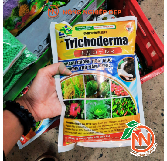 Trichoderma Điền Gia
