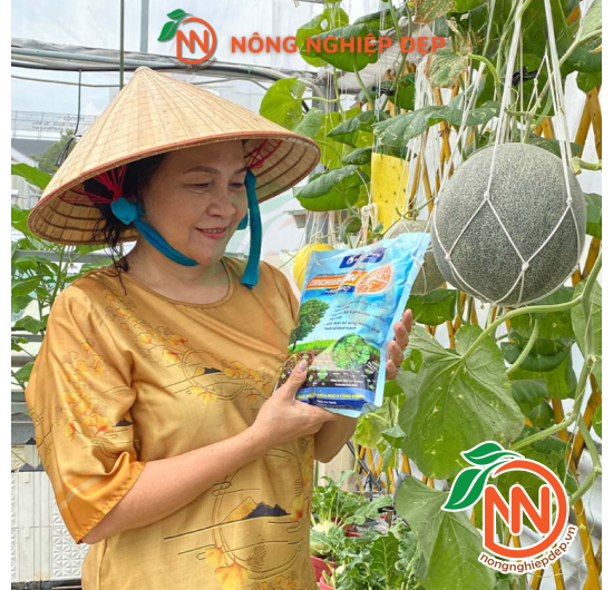 Chế Phẩm Nấm Đối Kháng Trichoderma Plus Humic Sfarm