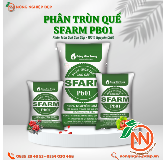 Phân Trùn Quế Sfarm PB01