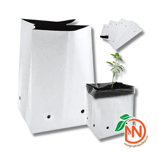 Túi Bầu Ươm Cây 2 Da Trồng Dưa Lưới, Dưa Leo, Cà Chua...