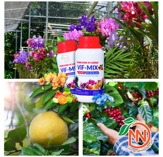 Phân Bánh Dầu Đậu Phộng VIF - MIX
