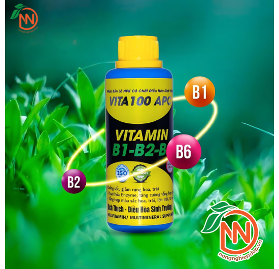 Vita 100 APC 100ml - Vitamin B1-B2-B6 - Điều Hòa Sinh Trưởng